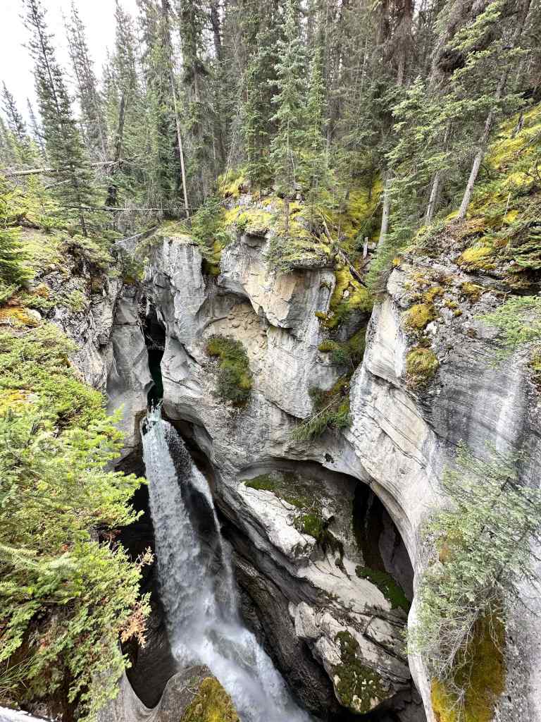 Maligne Canyon