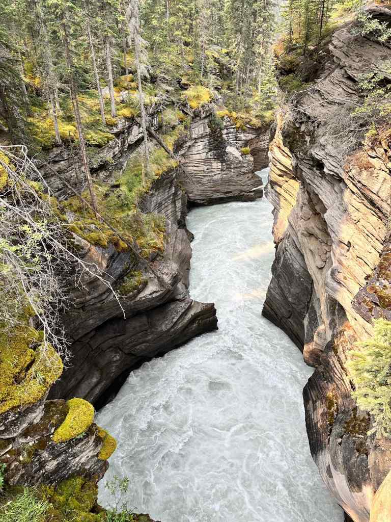 Athabasca Falls