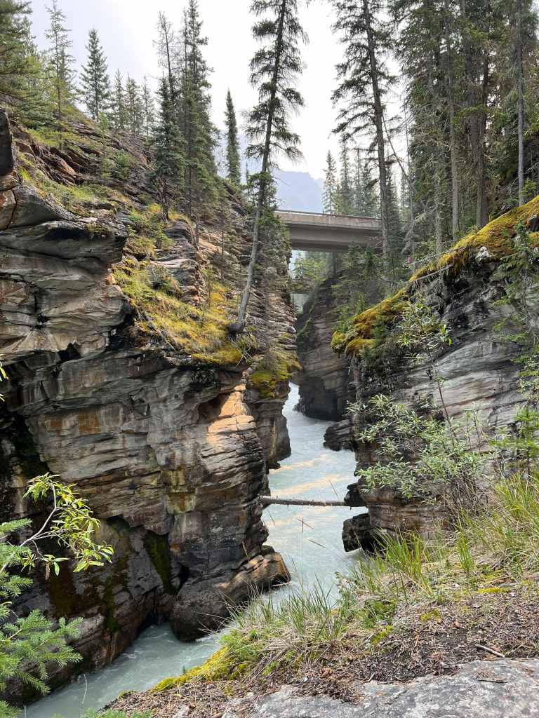 Athabasca Falls