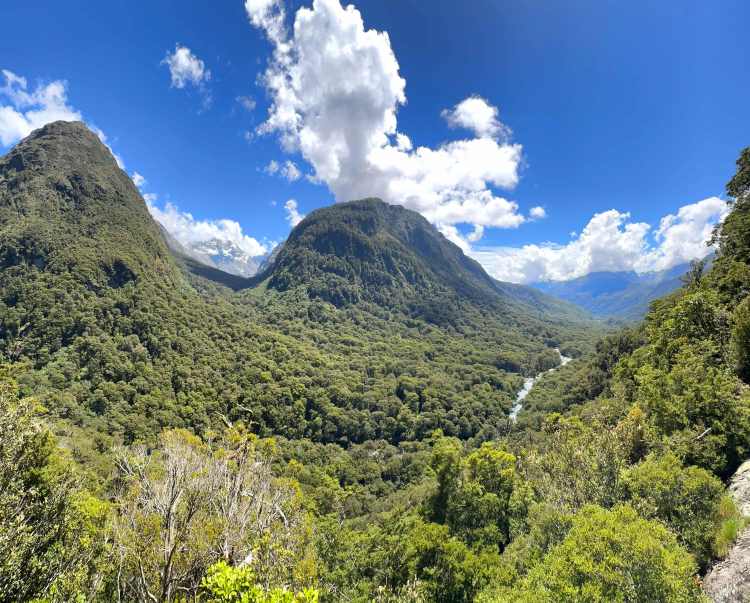 Hollyford Valley/Pop's View Lookout