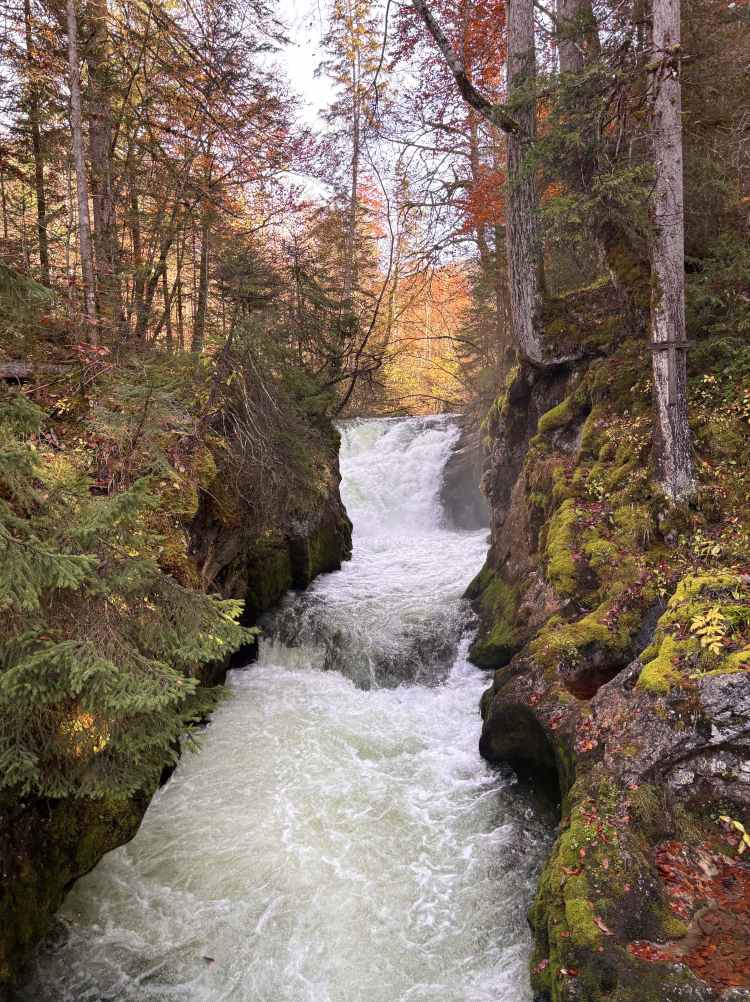 Small waterfall in the forest