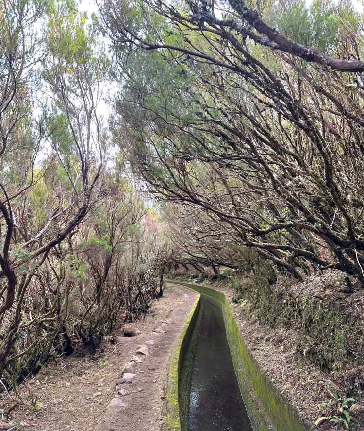 Aqueduct hiking path at Lagoa do Vento