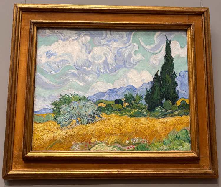 Painting of cypress trees by Vincent van Gogh