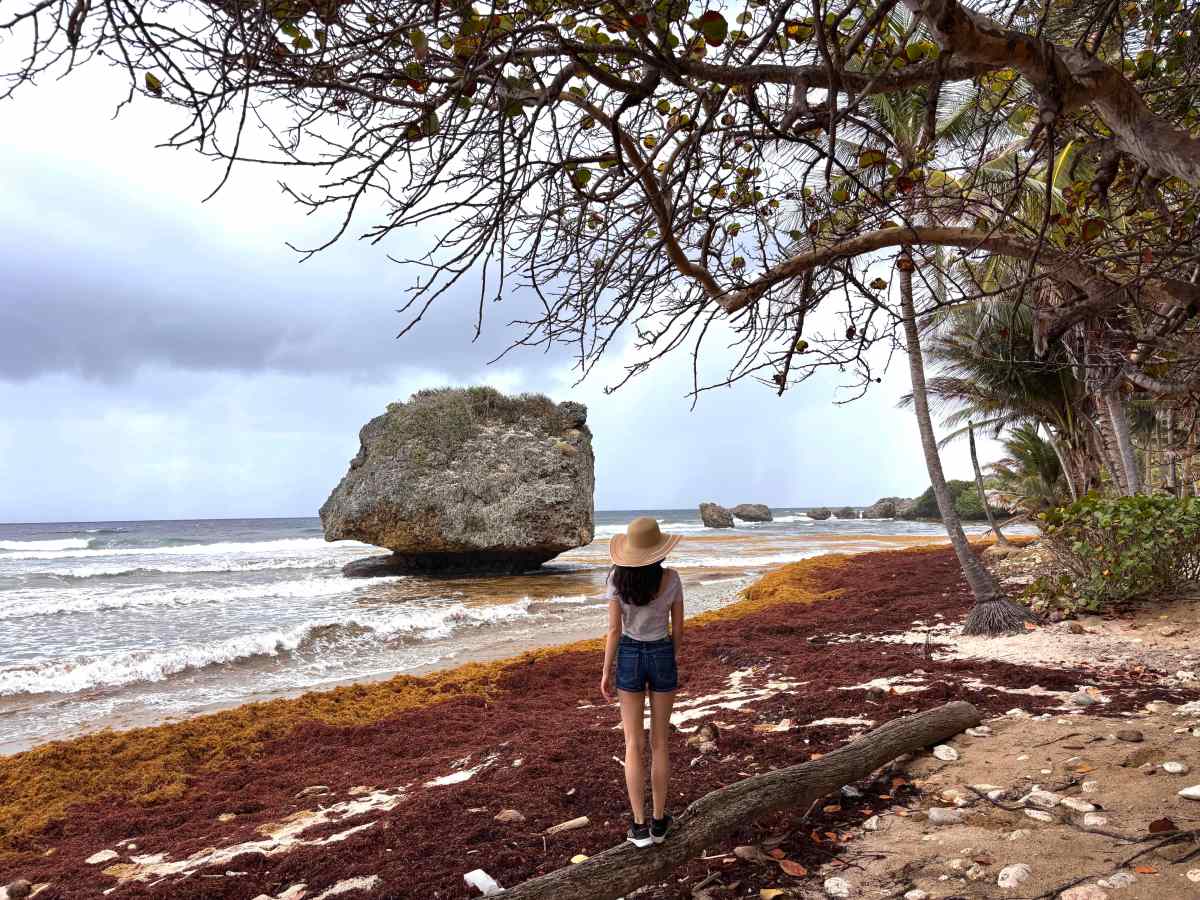 Barbados