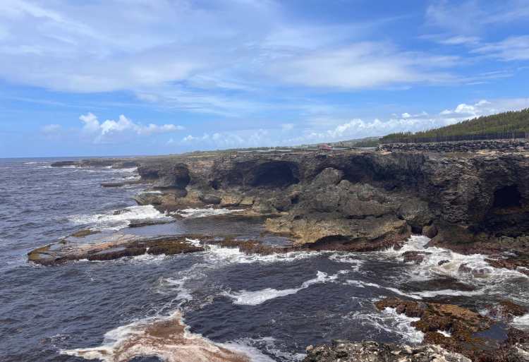 Rocky coastal view at Animal Flower Cave