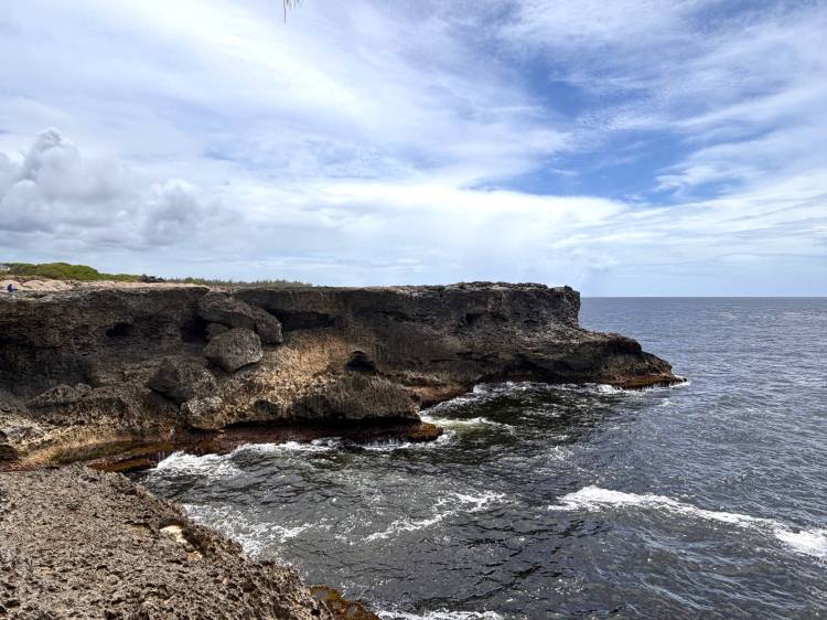 Coastal view of Animal Flower Cave