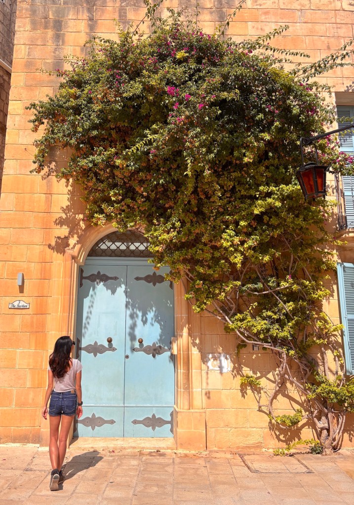 Mdina Blue Door