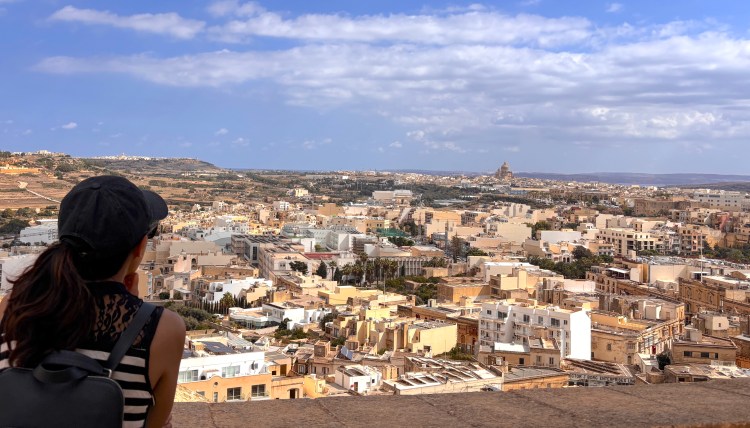 Panoramic city view from Cittadella